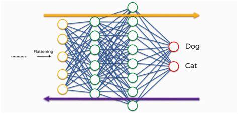 The Ultimate Guide To Convolutional Neural Networks Cnn Blogs