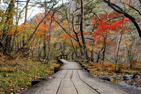 A Weekend Escape to Nikko National Park | Japan Cheapo