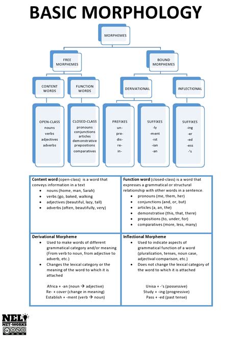 Detailed Guide On How Morphology In Language Works Today - RYZE Superfoods