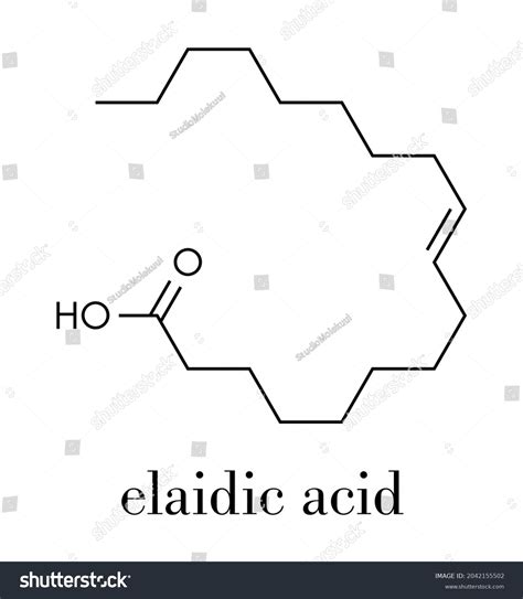 Elaidic Acid Molecule Main Trans Fat Stock Vector Royalty Free