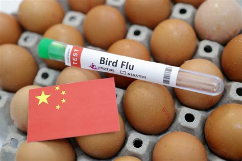 China Records Worlds First Human Death From H3n8 Bird Flu — Who