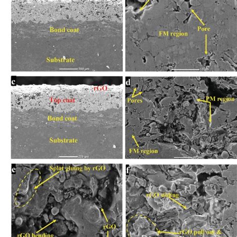 Coating Microstructure Of WC 25wt Co A Without RGO Addition Two