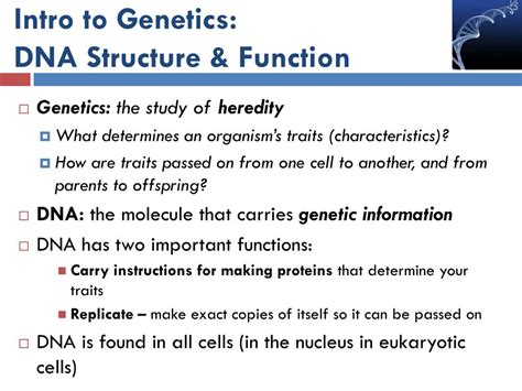 Ppt Intro To Genetics Dna Structure And Function Powerpoint