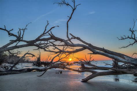 Botany Bay 20 Photograph by Steve Rich - Fine Art America