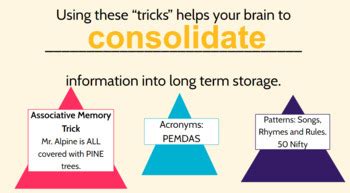 Your Brain And Memory Tricks For Students To Strengthen Their Studying