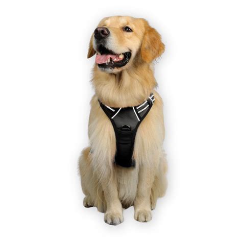 Best Dog Harnesses For 2025 Tested For Large And Small Dogs