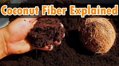 Coconut Fiber Coir Benefits And Uses YouTube