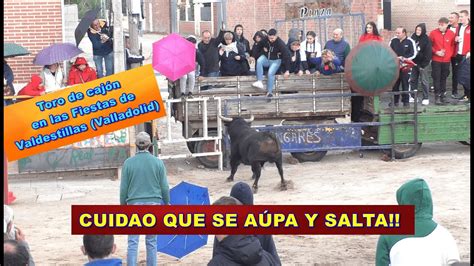 Valdestillas Va Toro De Caj N Fiestas Del Milagro