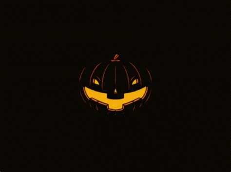 Pumpkin Patch GIF - Pumpkin Patch Halloween - Discover & Share GIFs