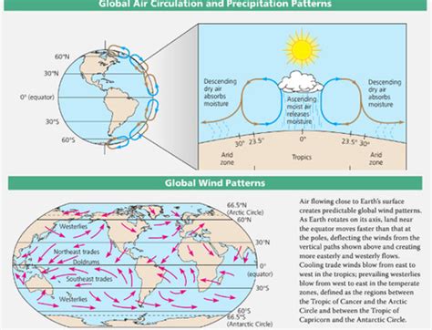 Bio Ch 52 Ecology Flashcards Quizlet