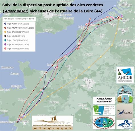 Fédération Des Chasseurs De Loire Atlantique