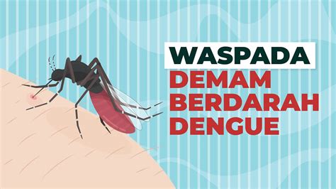 Waspada Demam Berdarah Dengue Dbd Youtube