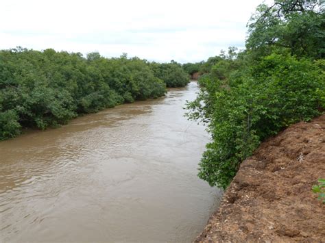 Top Longest Rivers In Mauritania Toplist Info