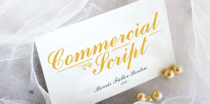 Commercial Script Font | Webfont & Desktop | MyFonts