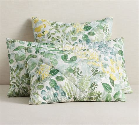 Botanical Percale Comforter Sham Pottery Barn