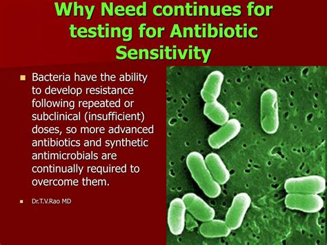 Ppt Antibiotic Sensitivity Testing Powerpoint Presentation Free