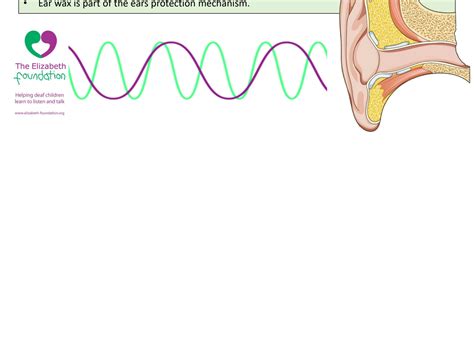 SOLUTION: Lesson 1 the human ear structure and function - Studypool