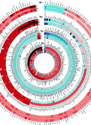 Circular Genome Visualization And Data Visualization With Circos