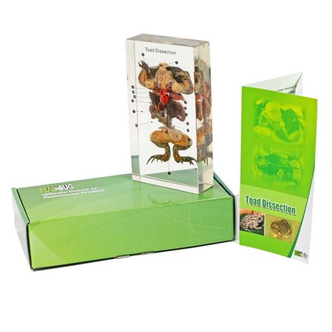 Toad Dissection specimen kit | Geyer Instructional Products