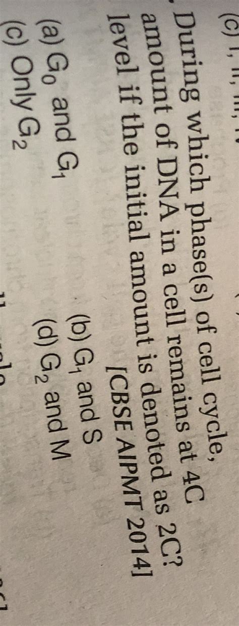 During Which Phases Of Cell Cycle Amount Dna In A Cell Remains At 4 C