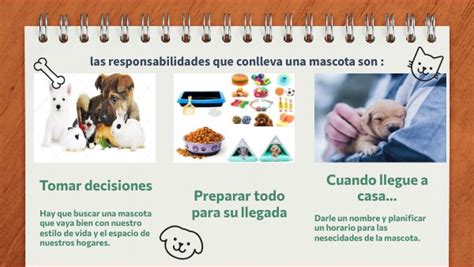 Responsabilidades Que Conlleva Una Mascota