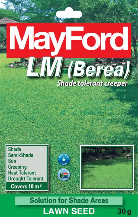 Mayford Kikuyu Lawn Seed • Lifestyle Home Garden Online Store