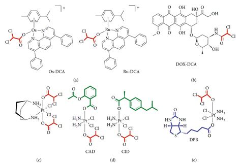 Dichloroacetate Dca And Cancer An Overview Towards Clinical