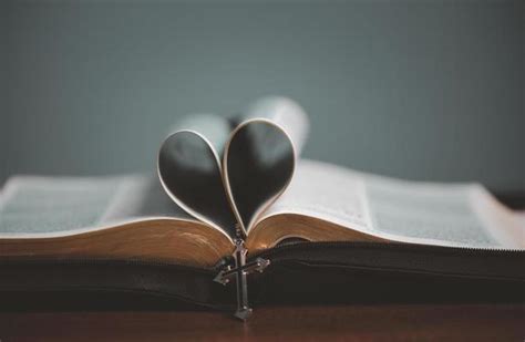 Bible Heart Stock Photos Images And Backgrounds For Free Download