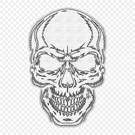 Black Skull Hd Transparent, Black And White Skull, Skull, Vector, Art ...