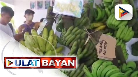 Iba T Ibang Klase Ng Saging Ibinida Sa Th Sagingan Festival Sa Tubod