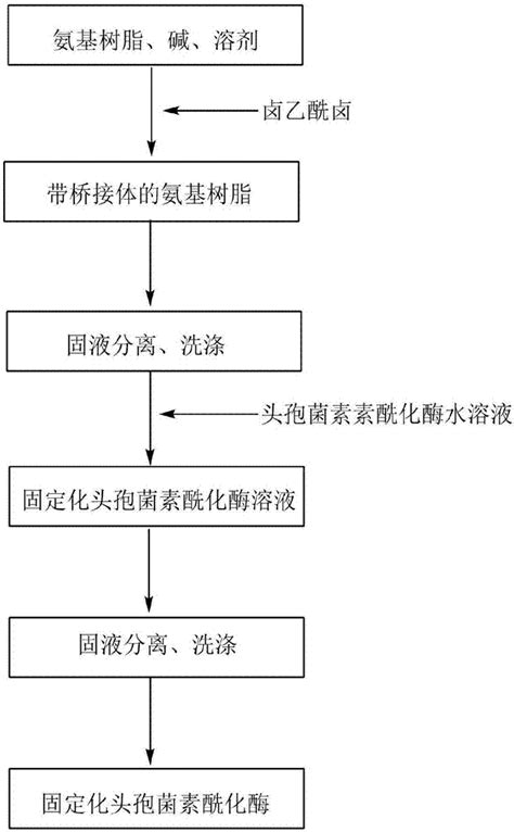 一种头孢菌素酰化酶的固定化方法及固定化酶与流程