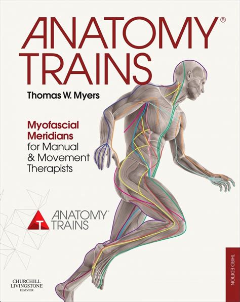 Anatomy Trains Books For Sale Fascial Health Literature Myofascial