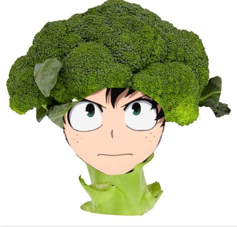 What Is This Broccoli Head My Hero Academia Amino