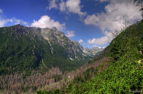 IMGP7563 Tonemapped Janusz BIENIEK Flickr