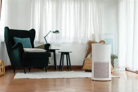 The Best Air Purifiers For Mold Healing Daily