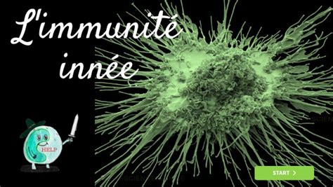 Chapitre Immunit Inn E