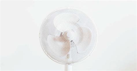 5 Best Quiet Fans For Your Bedroom (2021 Review) | DIY Garden™