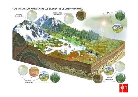 Hallazgo Geológico Confirma Lo Escrito En Génesis 168 Capas De La