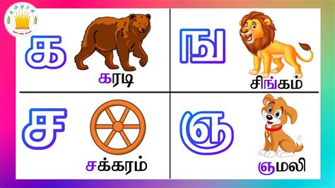 Tamil Phonics Charttamil Consonant Chart With 53 Off