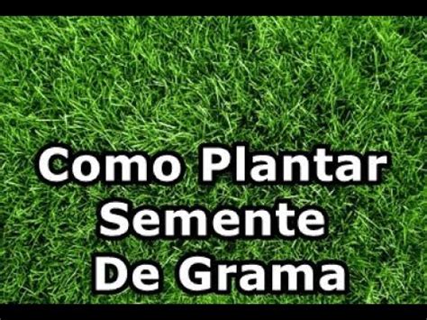 Como Plantar Semente De Grama Para Jardim Paisagismo Vasos Terracota