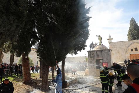 احتراق احدى أشجار المسجد الأقصى بعد اطلاق قوات الاحتلال القنابل الغازية