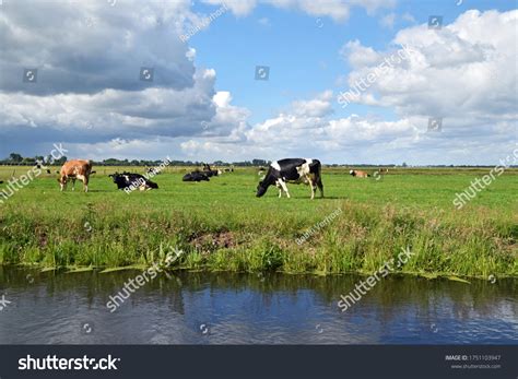 293 Oudewater Images Stock Photos Vectors Shutterstock