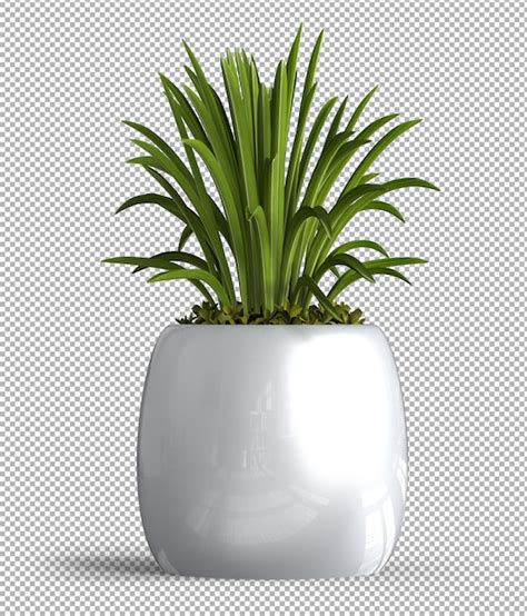 Planta Isolada Em Vaso Psd Premium