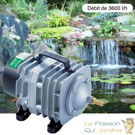 Compresseur Pompe Air A Rateur Bassin L H Pour Bassins De