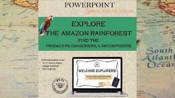 PPT Find the Producers, Consumers, and Decomposers in the Amazon Rainforest!