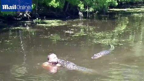 Tourists Video Shows Louisiana Swamp Tour Guide Feeding Alligators