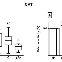 A Sod Activity U Mg Protein In Endometrium Of Patients Diagnosed