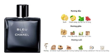 Top 8 review nước hoa chanel bleu in 2023 Chuyên Trang Chia Sẻ Kiến