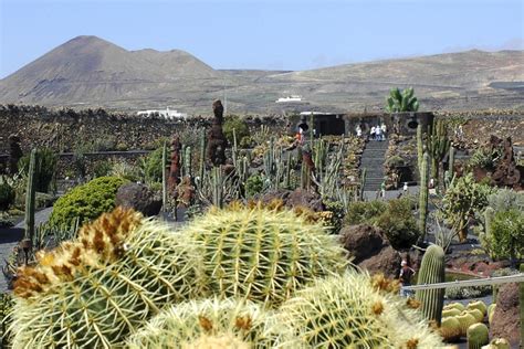 Lanzarote El Jard N De Cactus Canarias Espa A