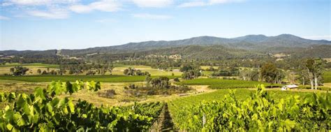 Victoria's Wine Regions Revealed | AU Private Tours